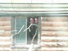 android_upload_pic-新疆天山野生动物园