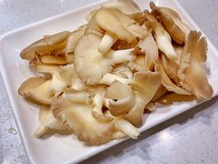 平菇-古乐牛香·鲜牛肉牛杂火锅(吴江三里桥运东商业广场店)