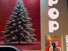 -溪岸路花鸟市场