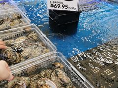 鲍鱼-盒马X会员店(上海森兰商都店)