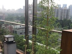 -小茶闲舍·观景商务茶馆(广州塔店)