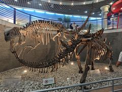 -国家自然博物馆