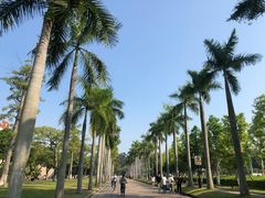 -厦门大学(思明校区)