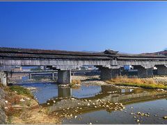 景点-中国庆元廊桥博物馆