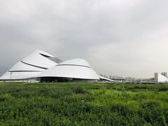 -哈尔滨大剧院
