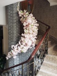 iphone_upload_pic-雅曼妮