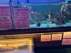 -荔城生鲜盛宴(番禺旗舰店)