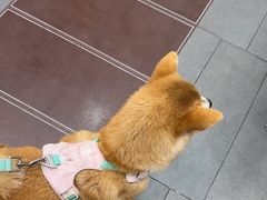 -联合动物医院(光谷诊疗中心)