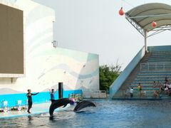 -北戴河圣蓝海洋公园