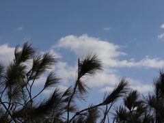 -月亮湾风景点