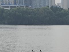 -天鹅湖体育公园