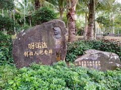 -呀诺达热带雨林