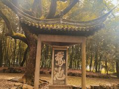 -兰亭风景区