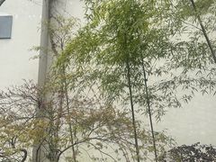-浙江省博物馆(孤山馆区)