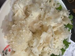 -草原传奇鲜羊火锅(桥北店)