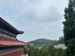 -龙口南山旅游景区