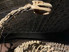 -世界恐龙谷景区