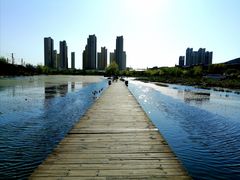 -前关湿地公园