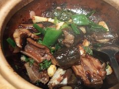 -新兴·金羊座·粤菜点心(乐峰店)