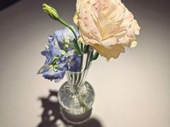 -云腾食府·云南菜