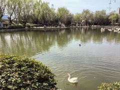-清凉山国家森林公园