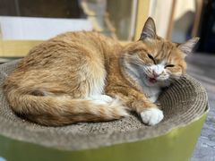 -Fun Job Art 零基础油画国画DIY画室(望京店)