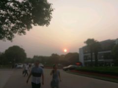 -上海大学宝山-图书馆