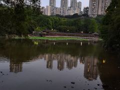-龙头寺公园