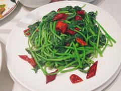 -蜀阳餐厅·金牌水煮鱼