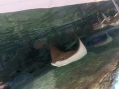 -新加坡水上探险乐园