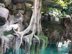 -福州罗源湾海洋世界旅游区