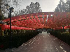 -大槐树寻根祭祖园