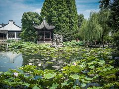 -乌镇望津里精品酒店