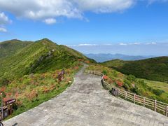 -大围山国家森林公园
