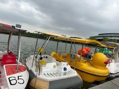 -杭州城北体育公园