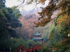 -岳麓山风景名胜区