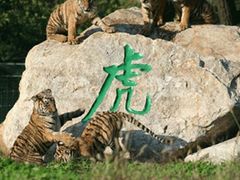 -西安秦岭野生动物园