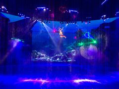 -芜湖新华联大白鲸海洋公园