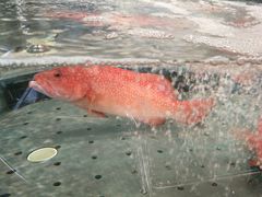 -宴周康·精致江浙菜(周浦店)