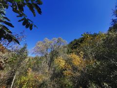 -仙居谷风景区