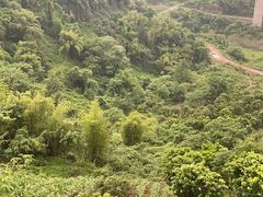 -美心红酒小镇游乐园