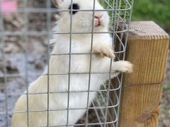 -美家乐农庄·露营·团建(大治路店)