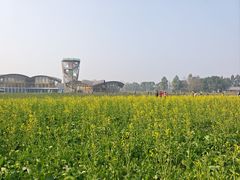 -中国天府农业博览园