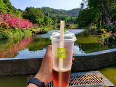 -深圳仙湖植物园