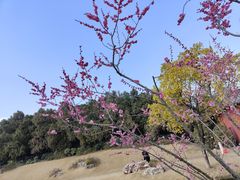 -南阳卧龙岗武侯祠