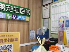 -瑞鹏宠物医院·夜间急症·心超·猫科(祖庙分店)