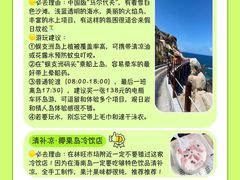 -亚龙湾热带天堂森林公园