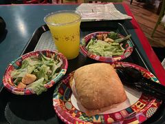 -奥兰多迪士尼动物王国乐园