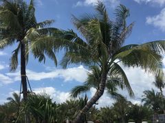 -味餐厅·海鲜·火锅·自助餐