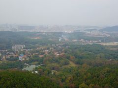 景点-青龙山国家森林公园
